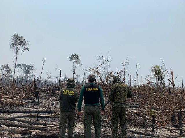 Operação conjunta em Colniza contra desmatamento ilegal Foto: Secretaria de Estado de Meio Ambiente de Mato Grosso