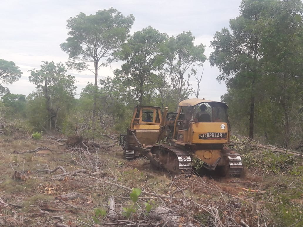 Sema flagra desmatamento em Itiquira Foto: Secretaria de Estado de Meio Ambiente de Mato Grosso