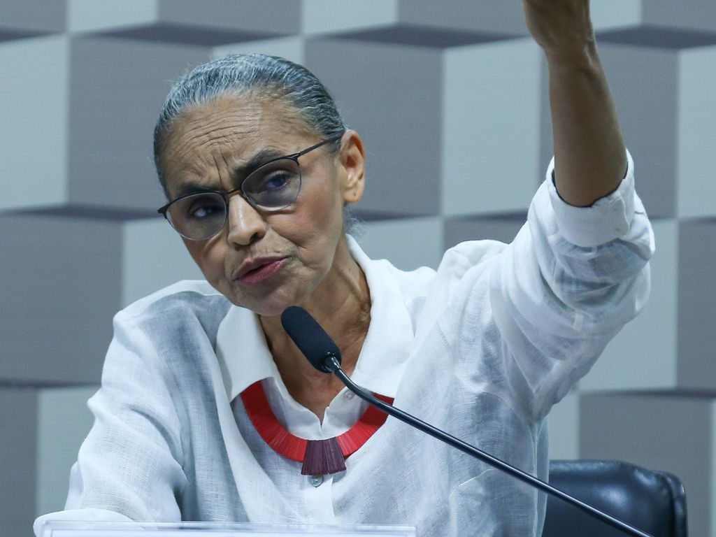 Marina Silva, Senado