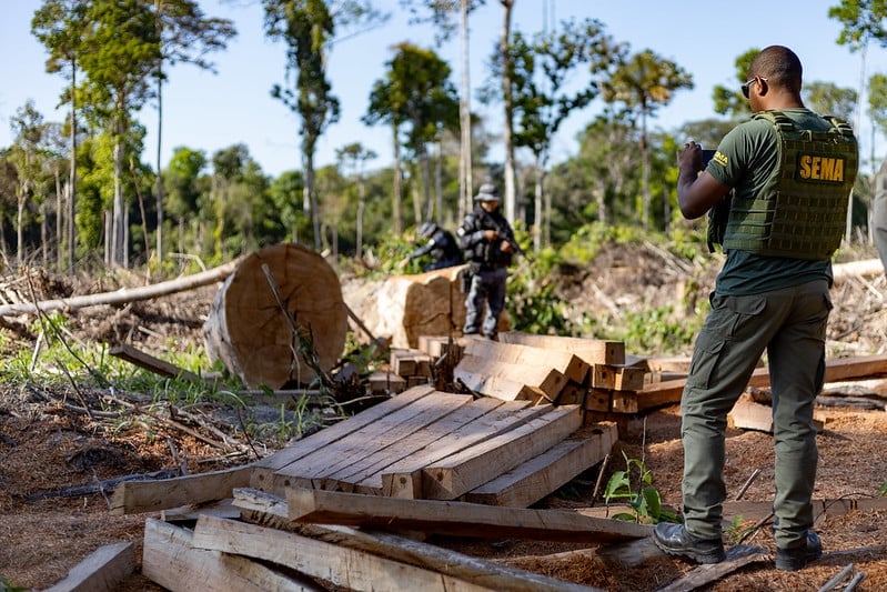 Sema-MT multas por desmatamento ilegal em Mato Grosso