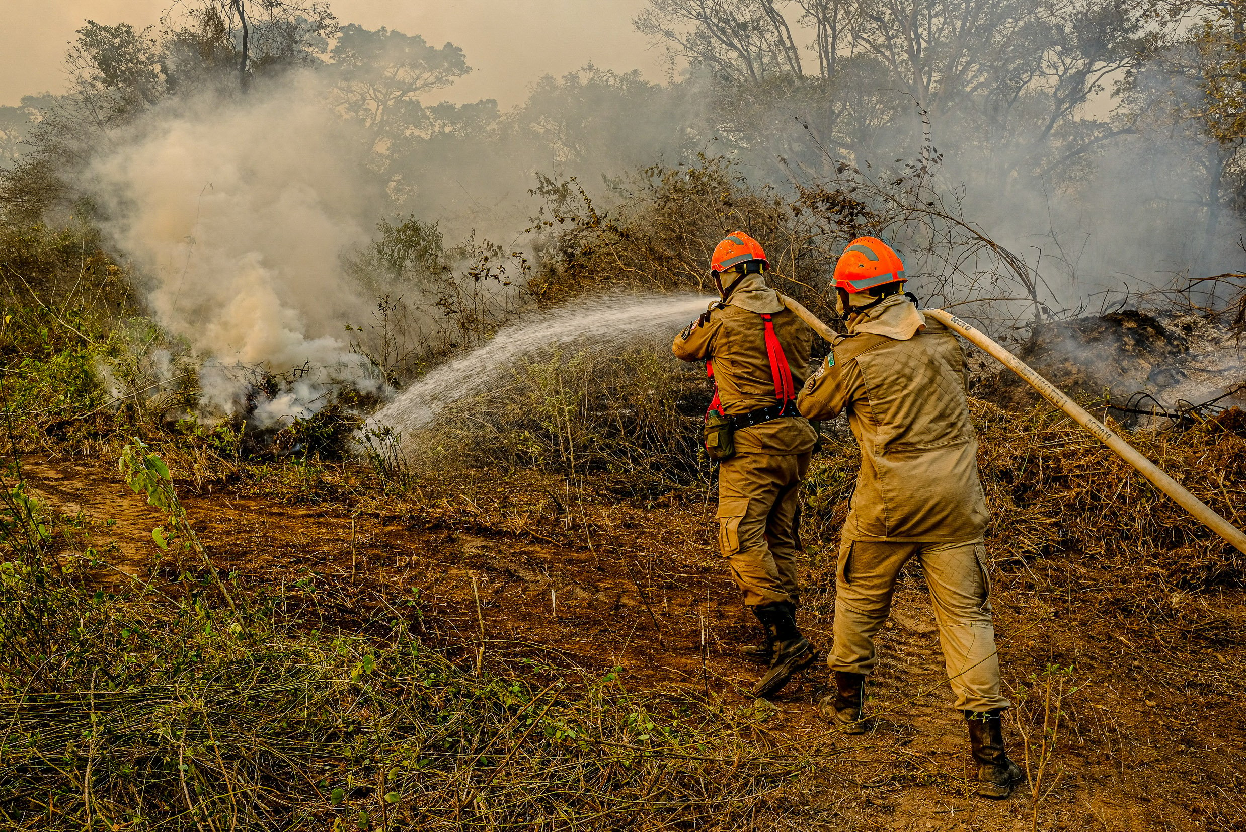 Governo de mato grosso investe em ações de combate a incêndio foto mayke toscano secom mt
