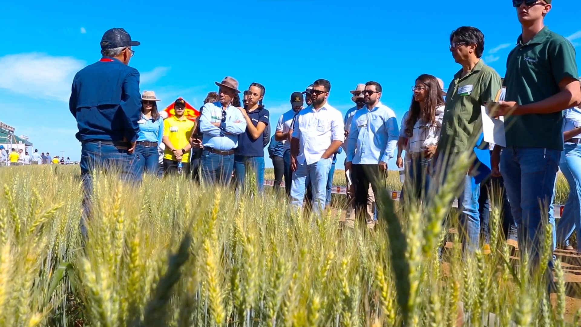 Produtores, consultores e pesquisadores durante terceiro encontro do trigo realizado pela Fundação Bahia em Luis Eduardo Magalhães